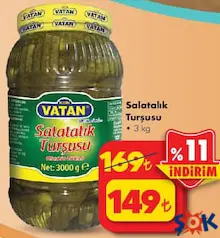 BİZİM VATAN SALATALIK TURŞUSU 3 KG fiyat ve kampanya bilgisi